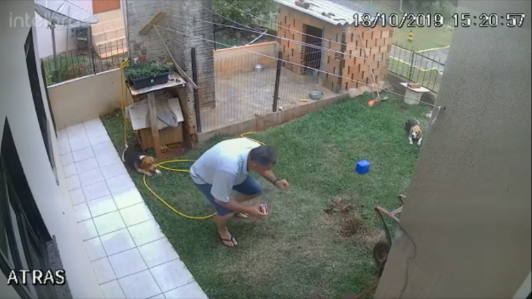 Homem explode quintal ao tentar matar baratas (vídeo)